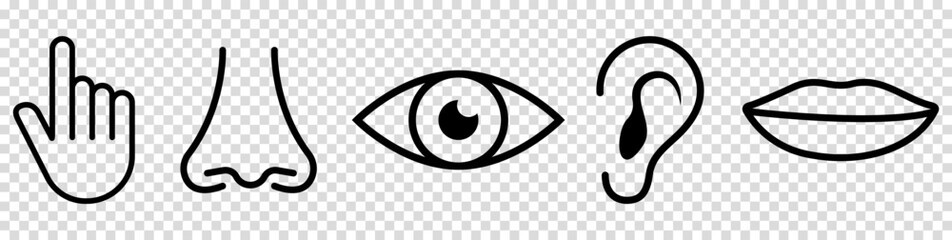 Five human senses icons set