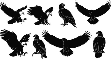 Black silhouettes of eagles in flight, perched, landing, talons extended, wings spread, detailed feathers, minimalistic bird illustration design
