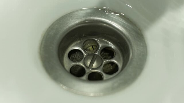 Monster Parasite Organism squirming in a metal drain filter. Horror content.