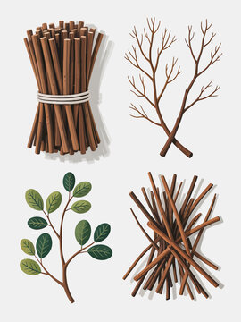 Four detailed illustrations of natural brown twigs and branches with shadows on white bundle pile