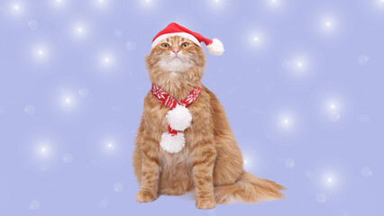 Festive ginger cat in a Santa hat and winter scarf, sitting on a soft pastel background with glowing bokeh lights. Warm holiday pet portrait for Christmas designs, greetings, ads and seasonal marketin