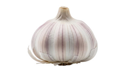 Garlic Bulb Isolated Black Background