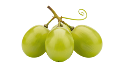 Green Grapes on Vine