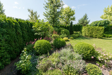 Fototapeta premium In a green space, different plants and bushes are arranged neatly. Sunlight shines down on the garden, showing vibrant colors and a well-kept landscape.
