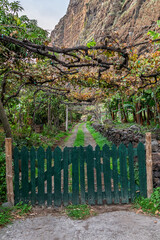Rustic garden path with wooden gate, banana trees and stone walls located on a steep, rocky hillside