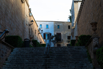 Narrow Mediterranean old town street with stone buildings, plants and cobblestone pavement.