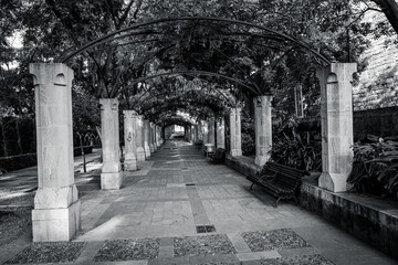 Symmetrical garden fountain surrounded by trees and greenery in a historic park. Peaceful Mediterranean outdoor space with water and shade.