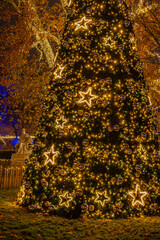 Christmas tree with star lights at Vienna Rathausplatz
