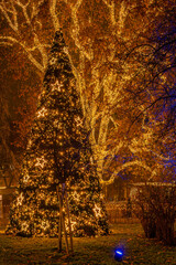 Illuminated Christmas tree and glowing trees at Vienna Rathausplatz
