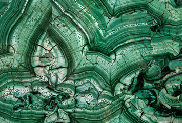 Malachite stone background with rich green layered patterns, natural mineral texture, polished gemstone surface, abstract organic lines, and decorative marble structure suitable for luxury design 