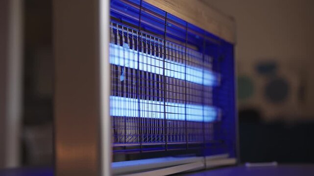 Electric bug zapper lamp emitting ultraviolet light, effectively trapping and destroying flying insects for efficient pest control, creating clean environment, close-up. Tracking shot in slow motion.