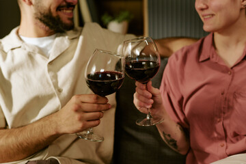 Caucasian young adult man and Caucasian young adult woman sitting together clinking wine glasses smiling, showing close interaction and relaxed body language indoors