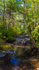 Moulton Falls Regional Park, Clark County recreational park in Yacolt, Washington