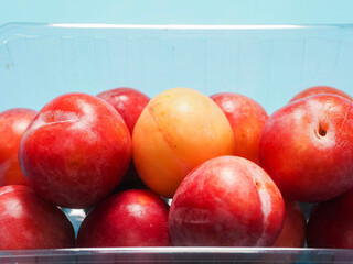 Fresh pure nectarine with glossy skin in a plastic basket on medical blue background. Agriculture product ready to eat and for sale. Food chain supply. Clean ripe organic product carefully selected.