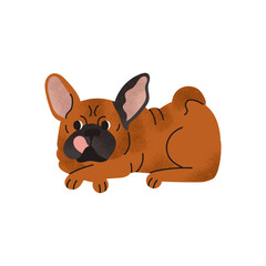 French Bulldog. Dog breed. Cute, funny pet. Domestic animal. Purebred dog. Cartoon vector illustration isolated on white background.
