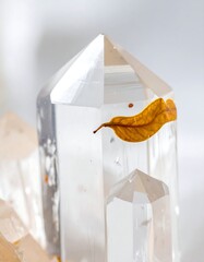 Clear quartz crystal point with a golden-brown leaf inclusion, showcasing natural beauty and geological formations.