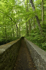 Obraz premium Chemin entre les deux vieux murs en pierres au Tunnel des Amoureux à Écaussinnes-Lalaing (Soignies)