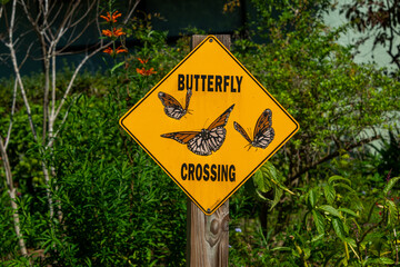 A bright orange inverted triangle-shaped metal sign with a butterfly crossing in black text. There are three orange colored warning butterfly symbols on the road sign affixed to a wooden post. 