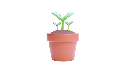 Young Plant Growing in a Pot on White Background