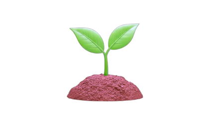 Young Plant Growing on Soil, Isolated on White Background