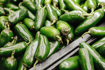 Fresh green jalapeno peppers pile closeup. Raw chili vegetables at market display. Spicy food ingredient background. Organic produce texture detail. Healthy cooking concept