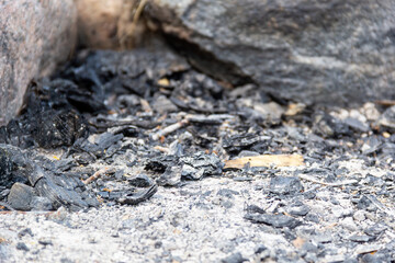 Dark charcoal remains scattered among stones in a natural setting