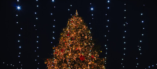 Magnificent decorated Christmas tree illuminated at night with sparkling string lights