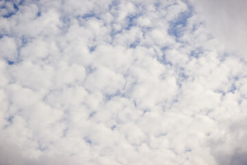 White, fluffy altocumulus clouds covering a large part of a bright blue sky on a sunny day