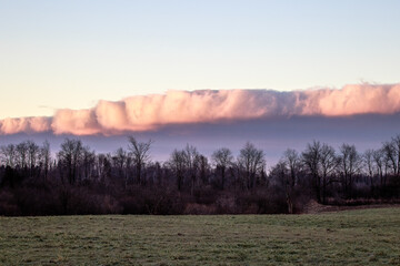 Early autumn sunrise illuminating a dramatic shelf cloud over a green farm field with barren trees in a rural landscape
