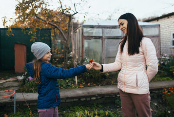 A child, a teenage girl in a garden, a vegetable garden, gives marigold flowers to her mother, a young woman, in the open air in autumn.