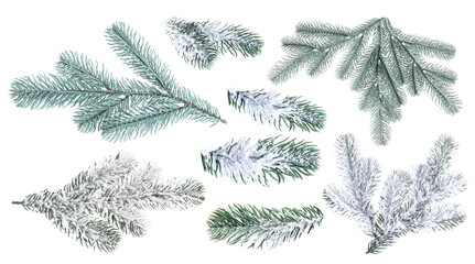 Fir tree branches isolated on white, set © New Africa