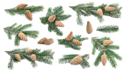 Fir tree branches and cones isolated on white, set © New Africa
