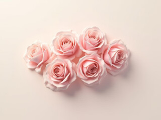 Delicate pink roses arranged beautifully on soft background