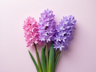 Beautiful pink and purple flowers arranged elegantly