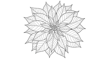 Detailed black and white line art of a poinsettia flower, perfect for a Christmas-themed coloring page or a classic holiday botanical illustration.