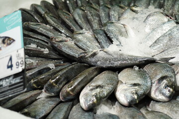 Gilt-head bream&nbsp;(Sparus aurata) fresh fish pile on ice for sale at the market