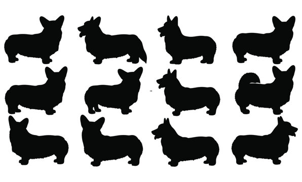 A collection of black corgi dog silhouettes in various poses, perfect for graphic design projects