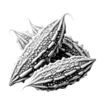 Bitter gourd vintage y2k halftone art, medicinal vegetable stipple brutalist retro vector png with transparent background, raw 2000s aesthetic photocopy effect tattoo