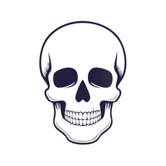Obraz premium Skull Vector Anatomy Illustration Symbol Bone Structure Danger Sign Horror Death