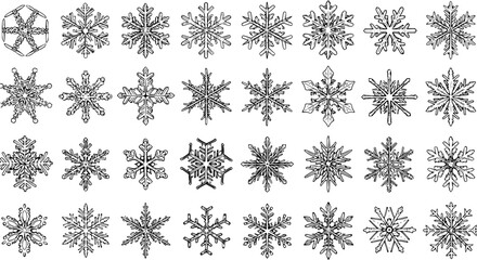 Detailed set of 49 unique black and white snowflake designs. Intricate vector illustrations of crystal frost patterns, perfect for winter holiday and Christmas themes.
