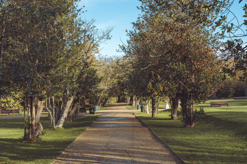 Dublin, Ireland- December 7 2025 "Late autumn in in capital of Ireland, Dublin"
