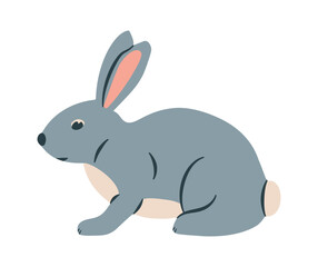 Rabbit cartoon vector illustration. Cute bunny rabbit cartoon clipart flat. Rabbit in sitting pose