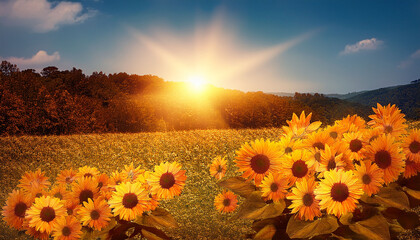Shining Light On Symbolic Sunflower Meaning The Symbolic Sunflower Meaning Deals With Beauty Delight Hope And Joy This Is Symbolic Of Spiritual Faith And Worship Because We Follow Our Belief