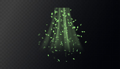 Fototapeta premium Green swirl elements