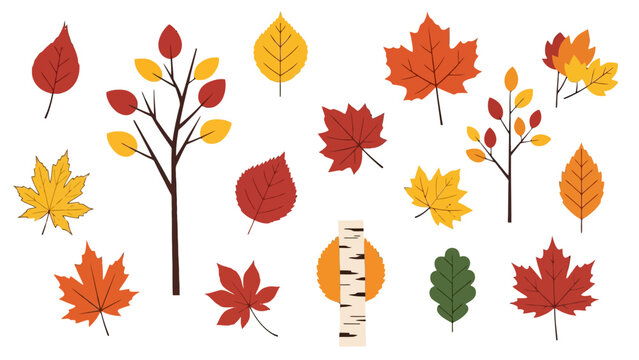 Collection of autumn leaves and tree branches in various shapes and colors on isolated white background