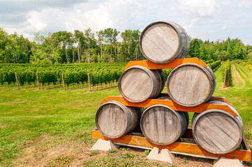 Stack of oak wine barrels on a vineyard in summer, Nova Scotia, Canada