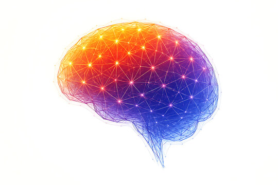 Artificial intelligence represented by connected lines forming the human brain, blue and orange, white background.