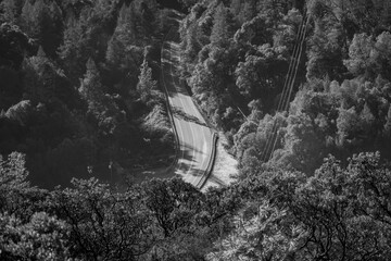 Winding Mountain Highway Through California Canyon Woodlands
