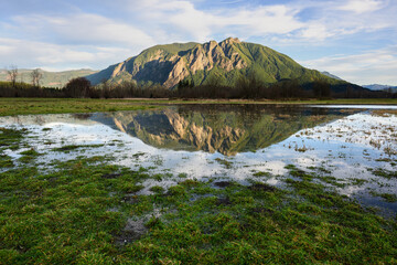 Mount Si reflecting in flooded farmland in winter with green grass foreground