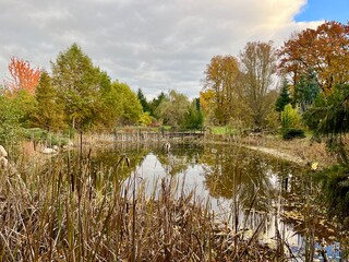 Calm autumn pond surrounded by reeds and colorful trees with a wooden bridge in the background.
Location: Botanical garden, Iłża, Poland.
